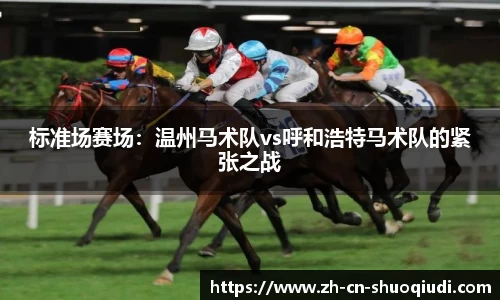 标准场赛场：温州马术队vs呼和浩特马术队的紧张之战